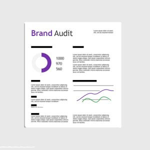 brand audit cover